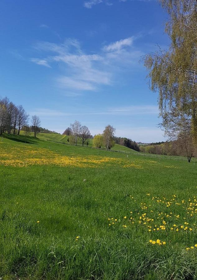 Ferienhaus Polly Rabenau Экстерьер фото