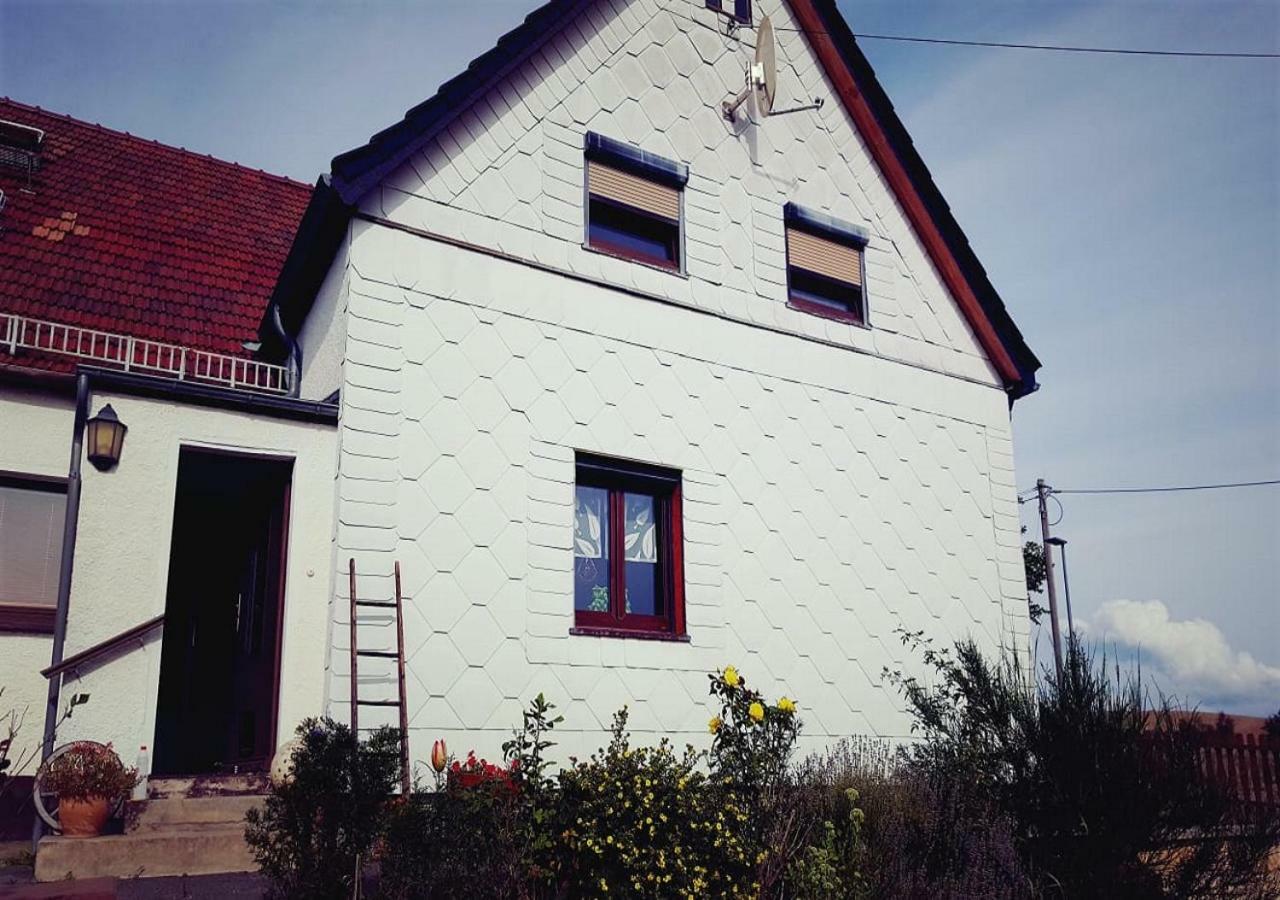 Ferienhaus Polly Rabenau Экстерьер фото